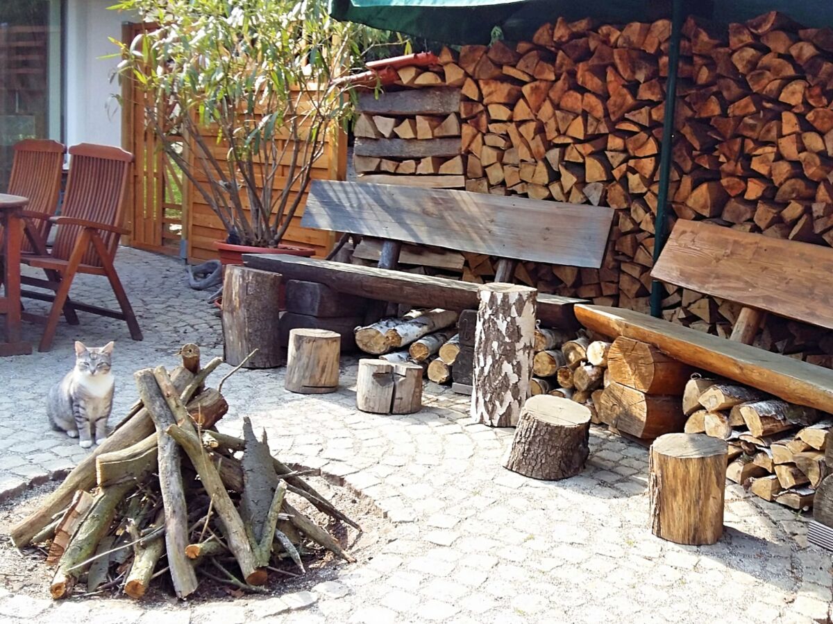 Holiday house Ferienhaus in Blankenburg - Outdoor photo 4