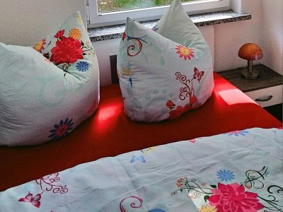 Holiday house Ferienhaus in Blankenburg - Features photo 16