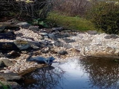 Holiday house Ferienhaus in Blankenburg - Environment photo 18