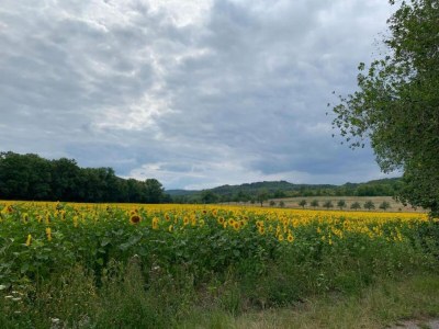 Holiday house Ferienhaus in Blankenburg - Environment photo 20