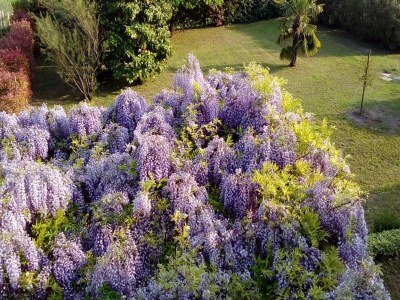 Holiday house Shimmering Serenity in Pastrengo - Outdoor photo 7