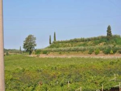 Holiday house Shimmering Serenity in Pastrengo - Environment photo 31