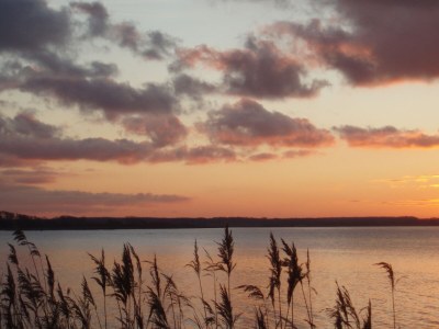 Holiday house "Kiek in" 1 - Environment photo 41