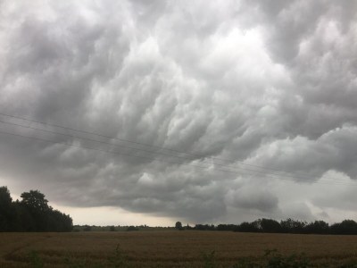 Holiday house "Kiek in" 1 - Environment photo 63