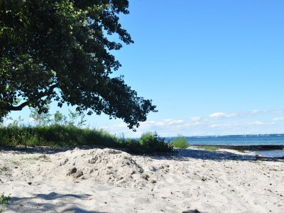 Holiday house "Kiek in" 1 - Environment photo 65