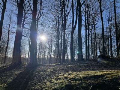 Holiday house "Kiek in" 1 - Environment photo 66