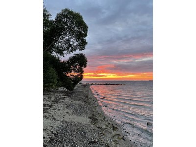 Holiday house "Kiek in" 1 - Environment photo 68