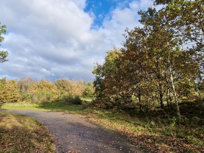 Bungalow Sea air - Environment photo 33