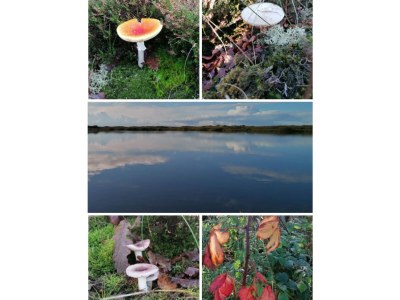 Bungalow Sea air - Environment photo 37