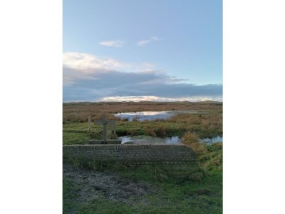 Bungalow Sea air - Environment photo 38