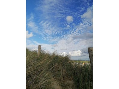 Bungalow Sea air - Environment photo 39