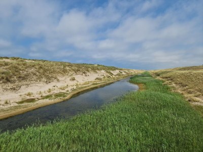 Bungalow Sea air - Environment photo 40