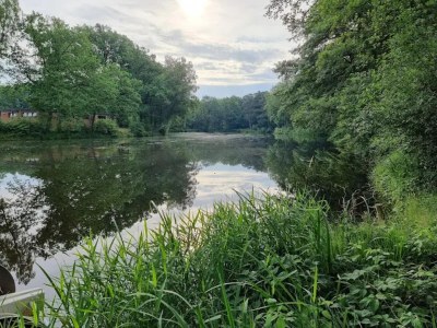 Apartment Wohnung in Dorfmark nahe Lüneburger Heide - Environment photo 33