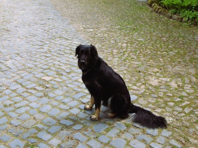 Apartment Ferienwohnung im Ferienhof, Dorfmark - Outdoor photo 30