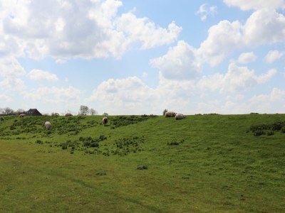 Holiday house Kleines Haus am See in Anjum - Environment photo 24