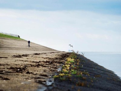 Holiday house Kleines Haus am See in Anjum - Environment photo 25