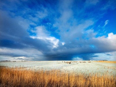 Holiday house Kleines Haus am See in Anjum - Environment photo 30