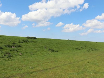 Holiday house Kleines Haus am See in Anjum - Environment photo 31