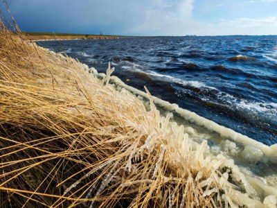 Holiday house Kleines Haus am See in Anjum - Environment photo 32