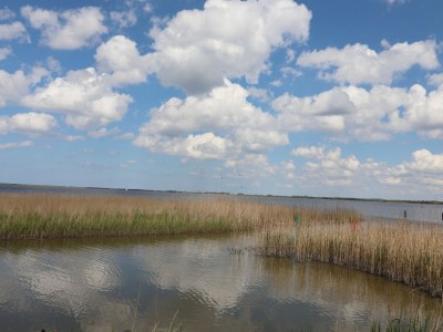 Holiday house Kleines Haus am See in Anjum - Environment photo 36