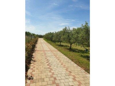 Villa Absolute privacy - Outdoor photo 6