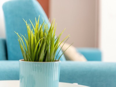 Apartment Apartment Sa Caseta 1 by Mallorca House Rent - Outdoor photo 25