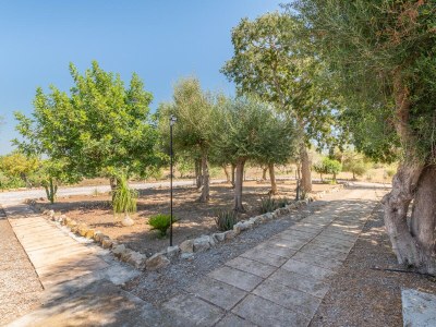 Holiday house Cas Serigot - Outdoor photo 11