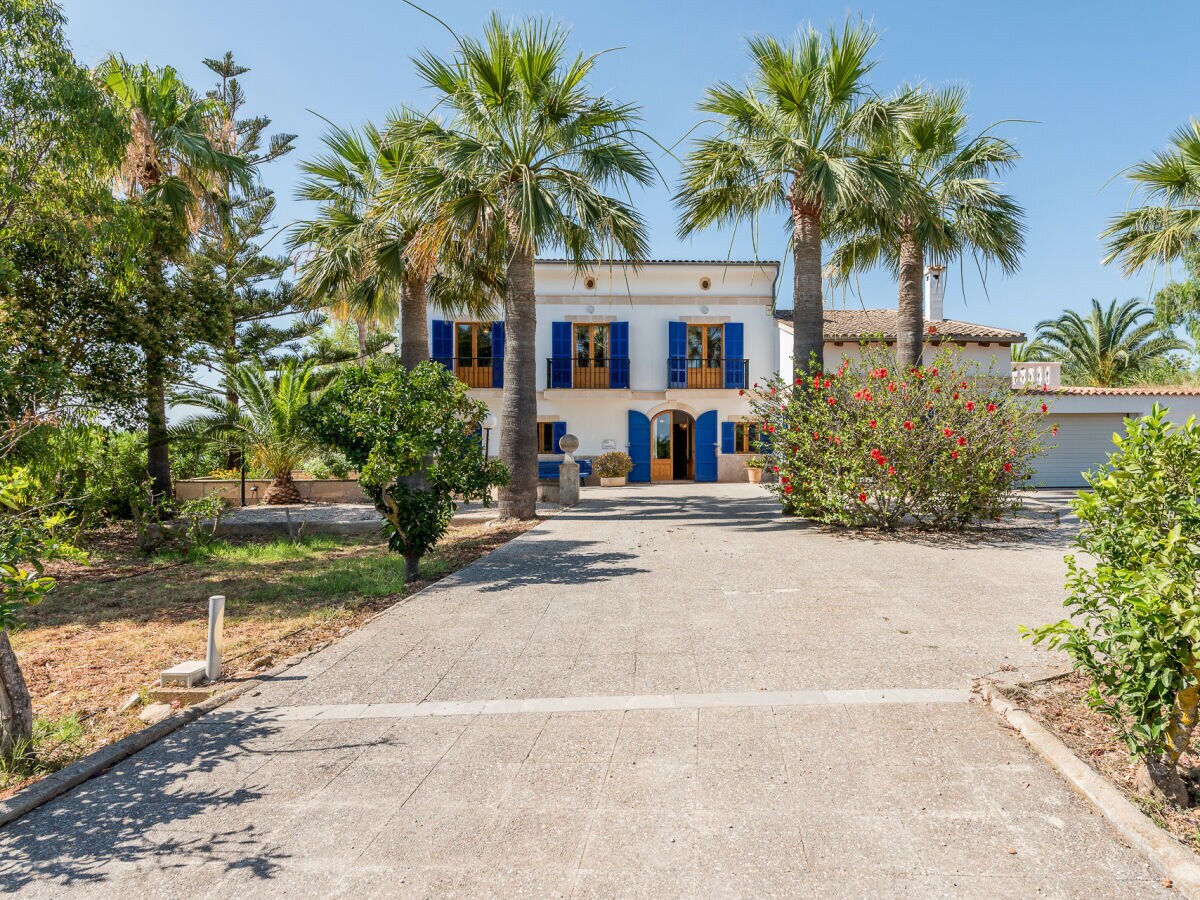 Holiday house Finca Can Galiana - Outdoor photo 5