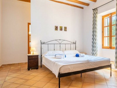 Holiday house Finca Es Castellot Vell - Features photo 39