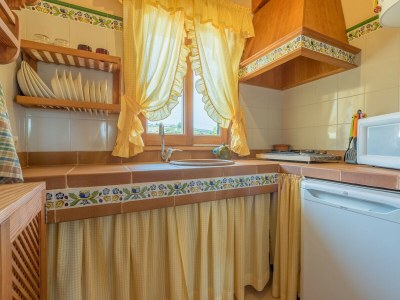 Holiday house Finca Puig de Anar - Features photo 28