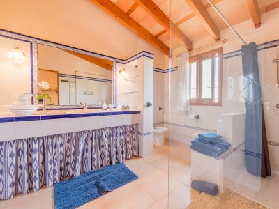 Holiday house Finca Puig de Anar - Features photo 32