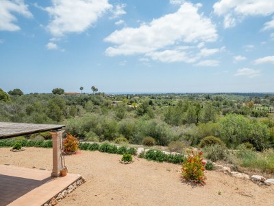 Villa Finca Sa Pleta - Environment photo 31