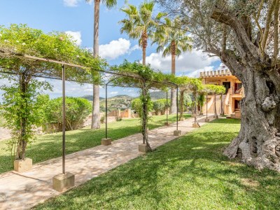 Holiday house Finca Son Amengual (El Castillo) - Outdoor photo 14