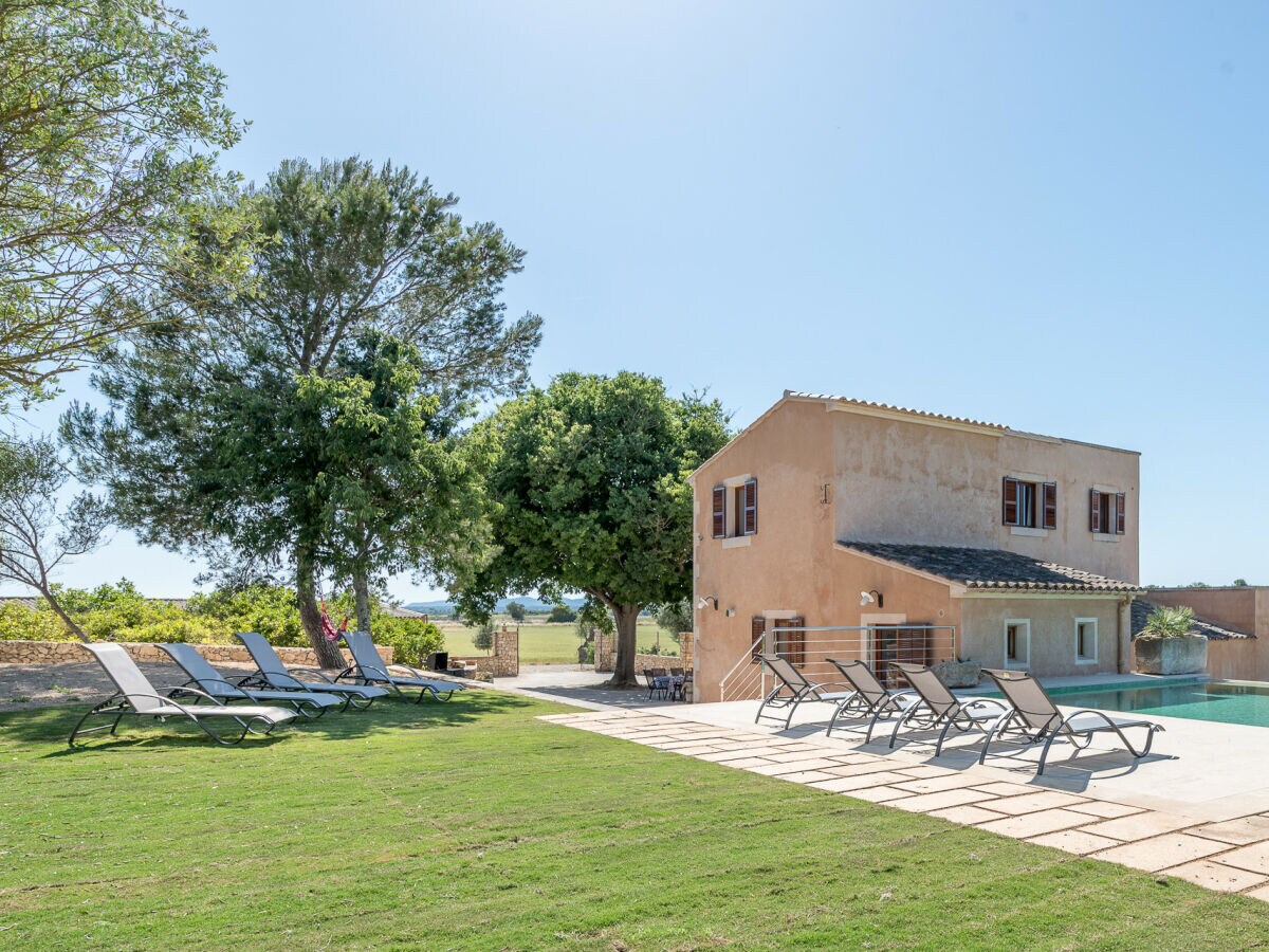 Holiday house Finca Son Joan Jaume - Outdoor photo 3