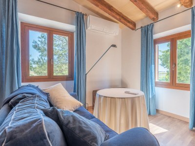 Holiday house Finca Son Joan Jaume - Features photo 40