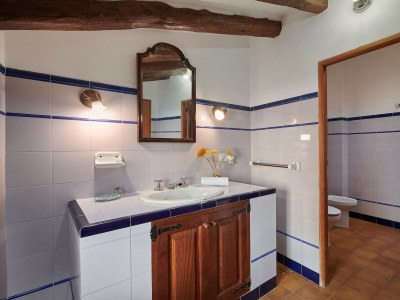 Holiday house Finca Son Oliver - Features photo 37