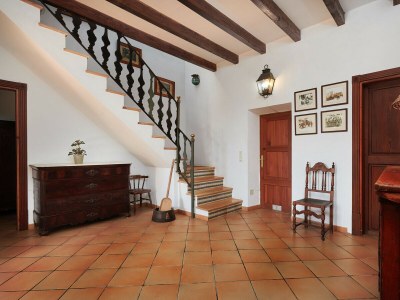 Holiday house Finca Son Oliver - Features photo 45