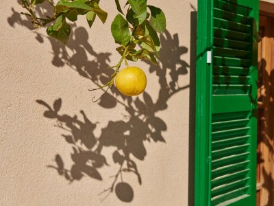 Holiday house Finca Son Oliver - Environment photo 48