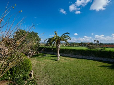 Holiday house Finca Son Oliver - Environment photo 50