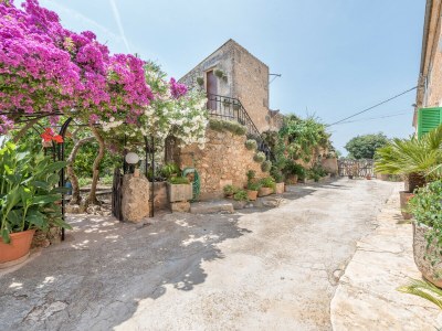 Holiday house Finca Son Sole - Outdoor photo 8