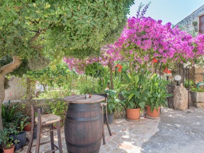 Holiday house Finca Son Sole - Outdoor photo 10