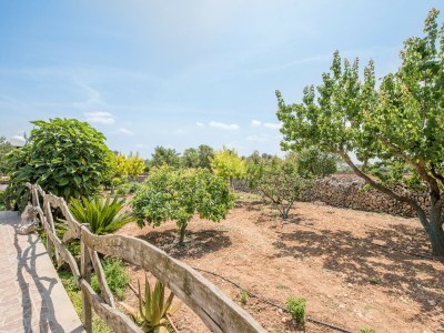 Holiday house Finca Son Sole - Outdoor photo 18