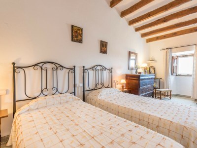 Holiday house Finca Son Sole - Features photo 37