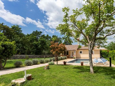 Villa Villa Darko in Svetvincenat - Villa