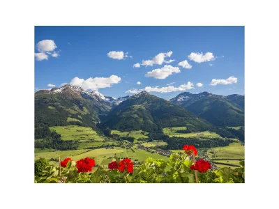 Holiday apartment Alpine farm - Outdoor photo 7