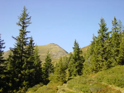 Holiday apartment Alpine farm - Environment photo 19