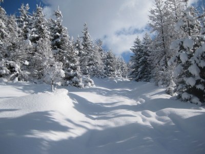 Holiday apartment Alpine farm - Environment photo 20