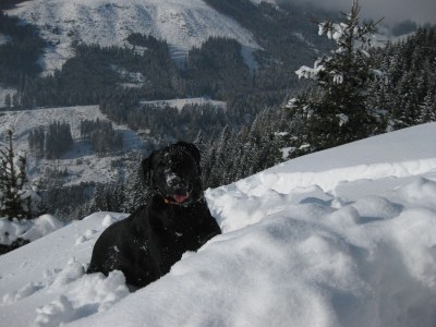 Holiday apartment Alpine farm - Environment photo 21