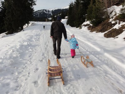 Holiday apartment Alpine farm - Environment photo 22