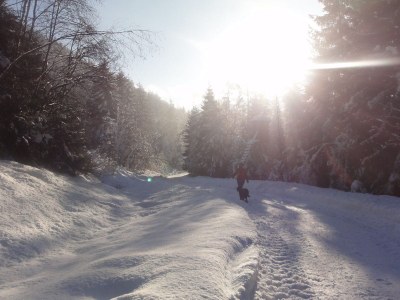 Holiday apartment Alpine farm - Environment photo 23